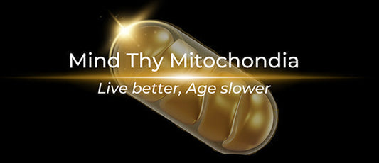 Peptide BPC-157 from Mind Thy Mitochondria