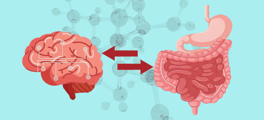 BPC-157: Nervous System, Gut Health, Connective Tissue & More