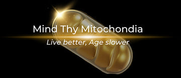 Peptide BPC-157 from Mind Thy Mitochondria