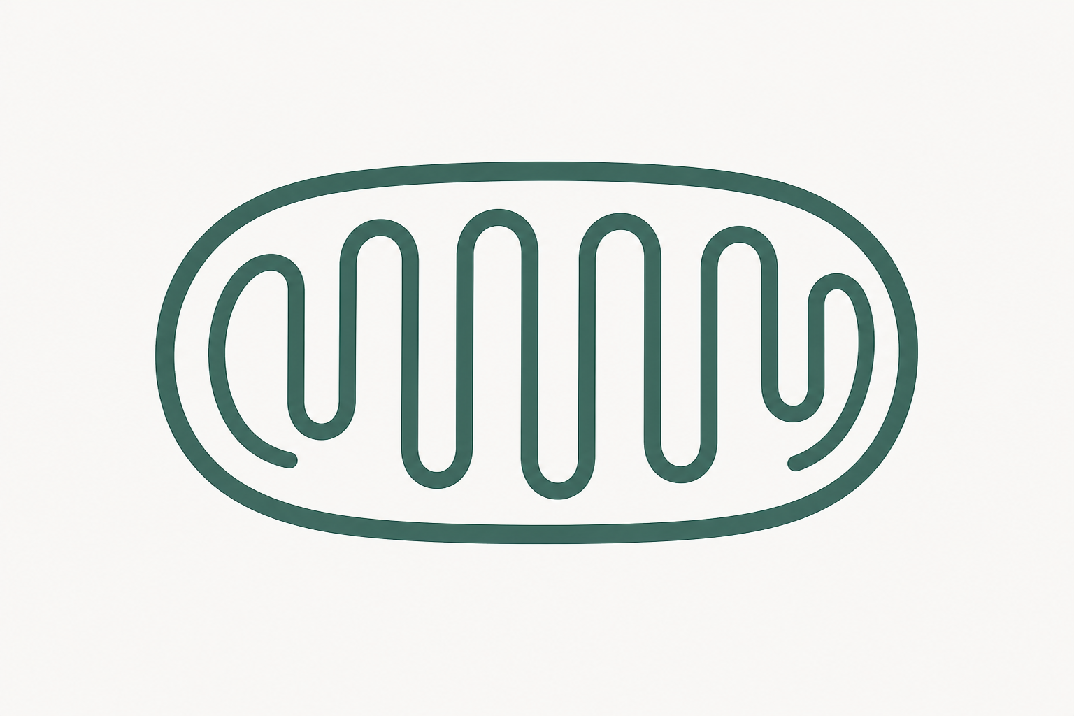 Mind Thy Mitochondria